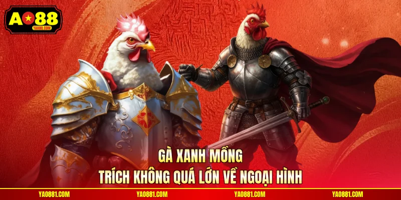 Gà xanh mồng trích không quá lớn về ngoại hình