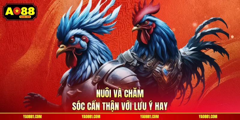 Nuôi và chăm sóc cẩn thận với lưu ý hay